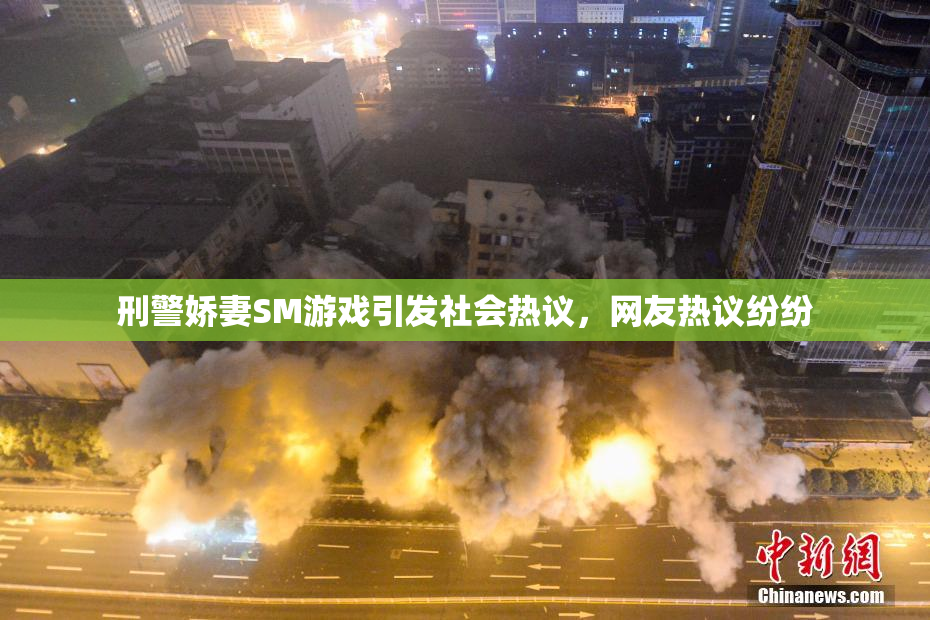 刑警娇妻SM游戏引发社会热议，网友热议纷纷