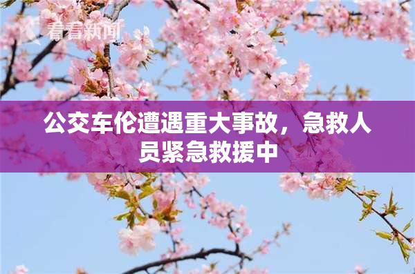 公交车伦遭遇重大事故，急救人员紧急救援中