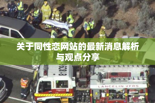 关于同性恋网站的最新消息解析与观点分享