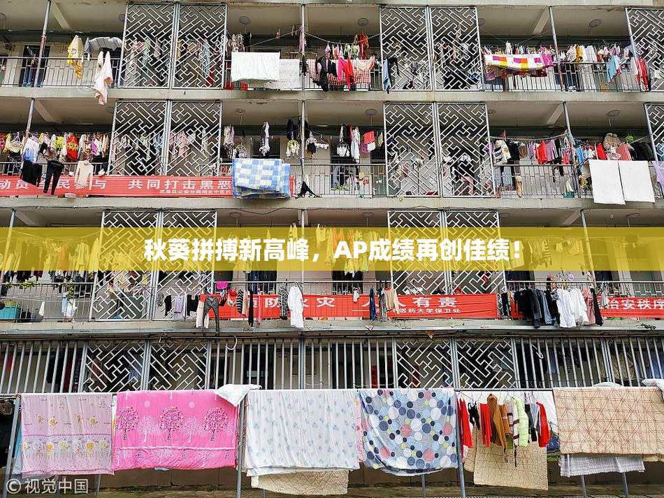 秋葵拼搏新高峰，AP成绩再创佳绩！