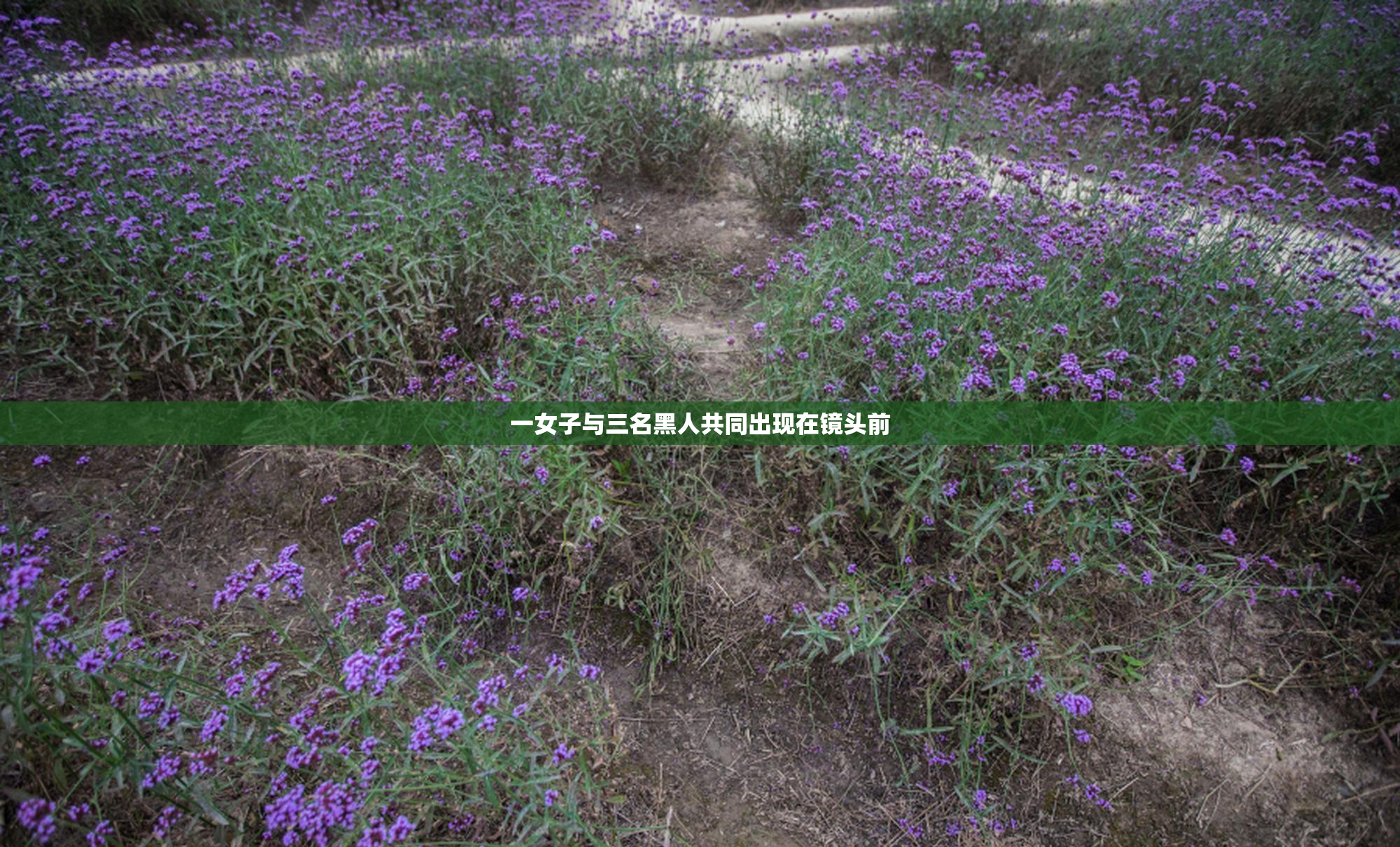 一女子与三名黑人共同出现在镜头前