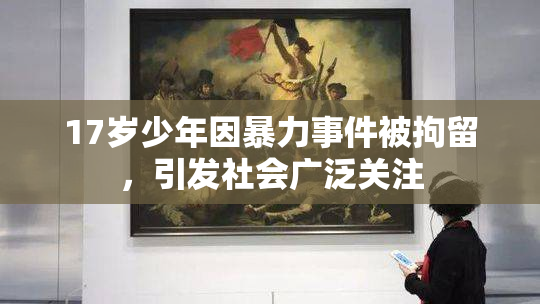 17岁少年因暴力事件被拘留，引发社会广泛关注