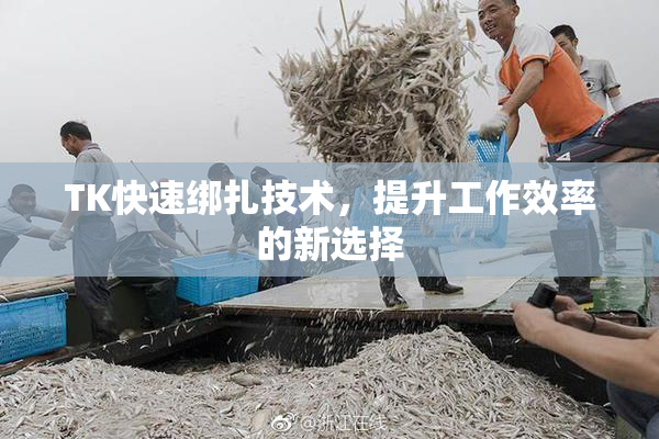 TK快速绑扎技术，提升工作效率的新选择