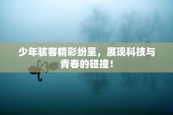 少年骇客精彩纷呈，展现科技与青春的碰撞！