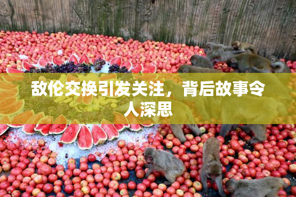 敌伦交换引发关注，背后故事令人深思