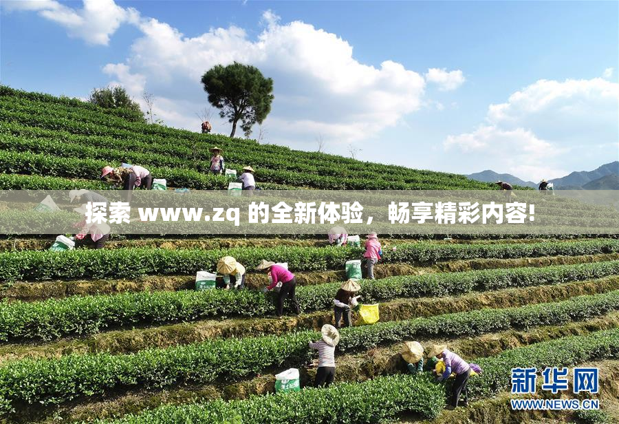 探索 www.zq 的全新体验，畅享精彩内容!