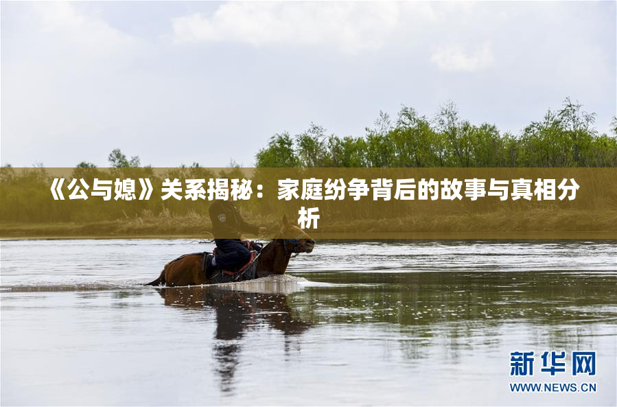 《公与媳》关系揭秘：家庭纷争背后的故事与真相分析