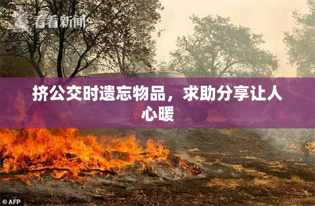 挤公交时遗忘物品，求助分享让人心暖