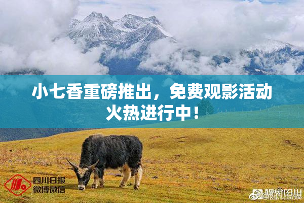 小七香重磅推出，免费观影活动火热进行中！
