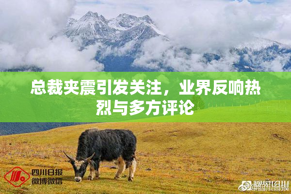 总裁夹震引发关注，业界反响热烈与多方评论