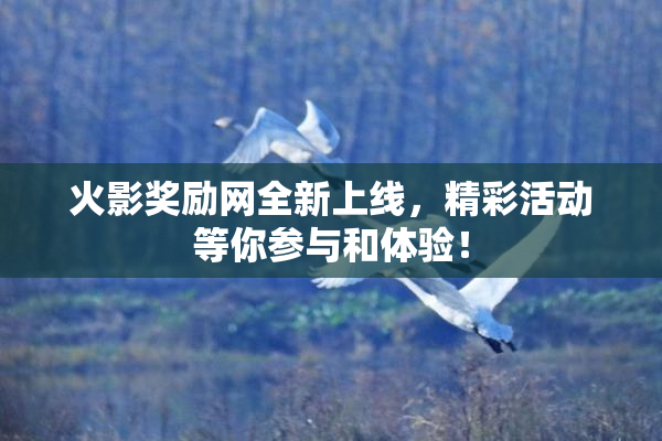 火影奖励网全新上线，精彩活动等你参与和体验！