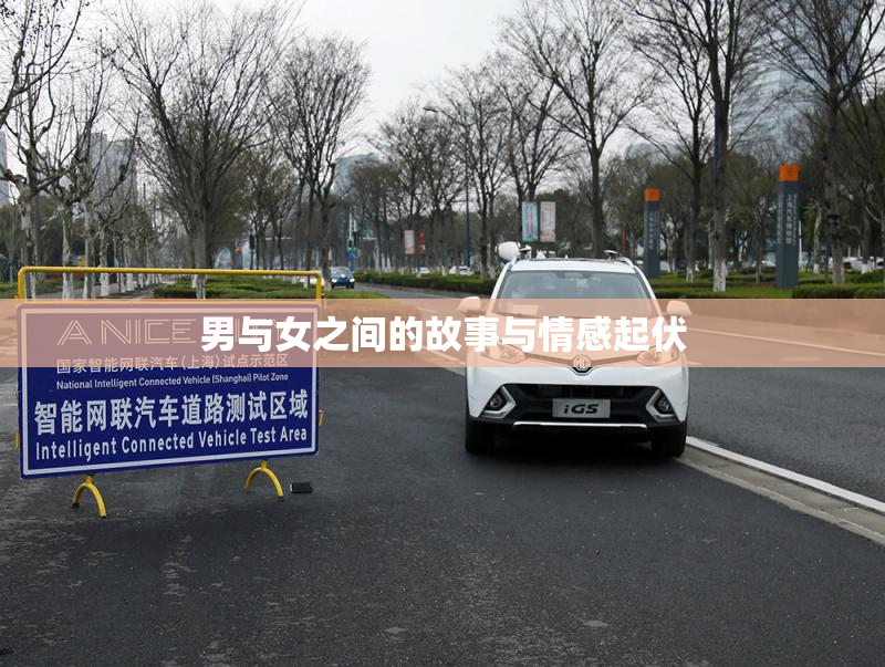 男与女之间的故事与情感起伏
