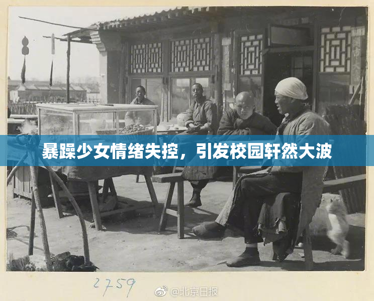 暴躁少女情绪失控，引发校园轩然大波