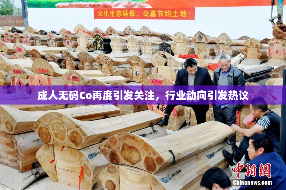 成人无码Co再度引发关注，行业动向引发热议