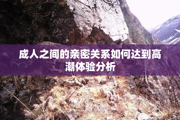 成人之间的亲密关系如何达到高潮体验分析