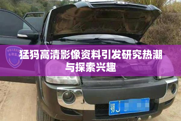 猛犸高清影像资料引发研究热潮与探索兴趣