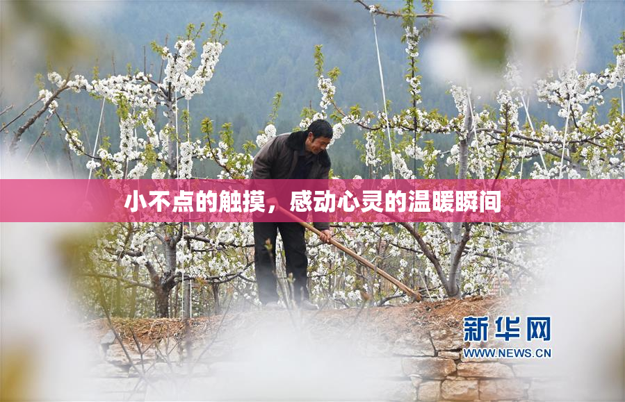 小不点的触摸，感动心灵的温暖瞬间