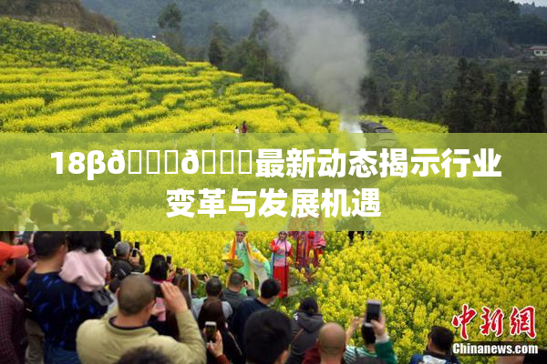 18β🍆🍑最新动态揭示行业变革与发展机遇