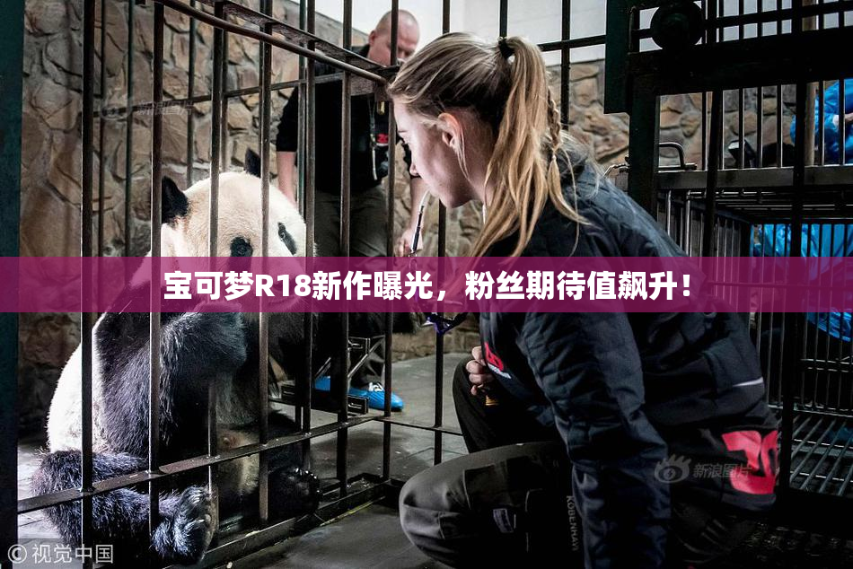 宝可梦R18新作曝光，粉丝期待值飙升！