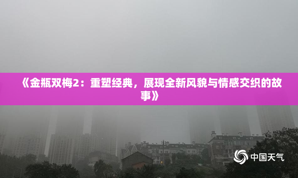 《金瓶双梅2：重塑经典，展现全新风貌与情感交织的故事》