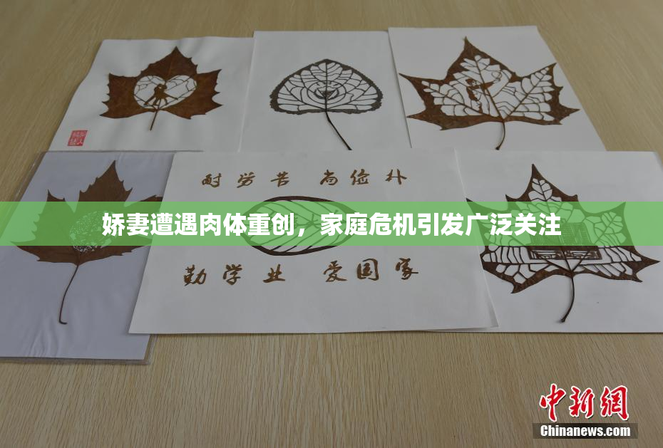 娇妻遭遇肉体重创，家庭危机引发广泛关注