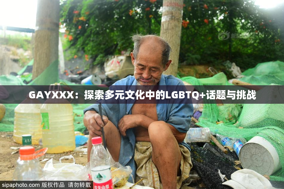 GAYXXX：探索多元文化中的LGBTQ+话题与挑战
