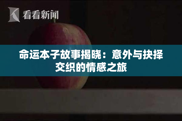命运本子故事揭晓：意外与抉择交织的情感之旅