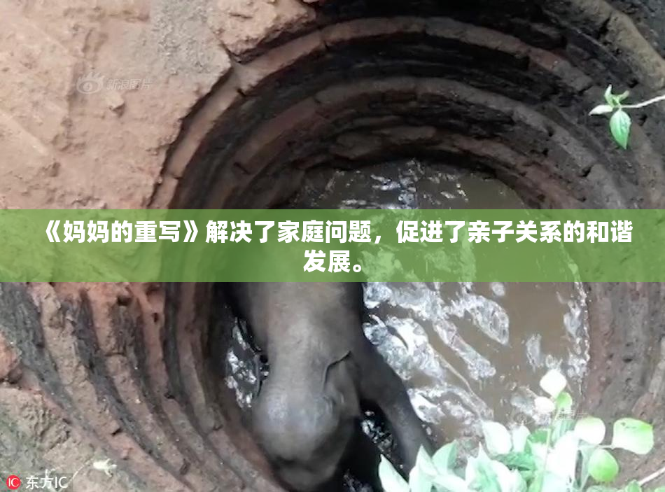 《妈妈的重写》解决了家庭问题，促进了亲子关系的和谐发展。