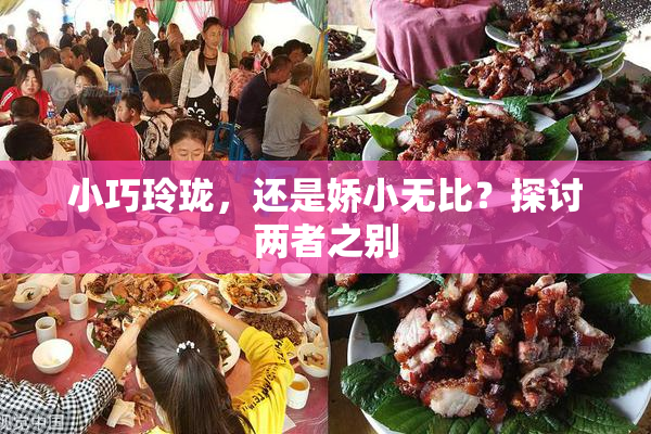 小巧玲珑，还是娇小无比？探讨两者之别