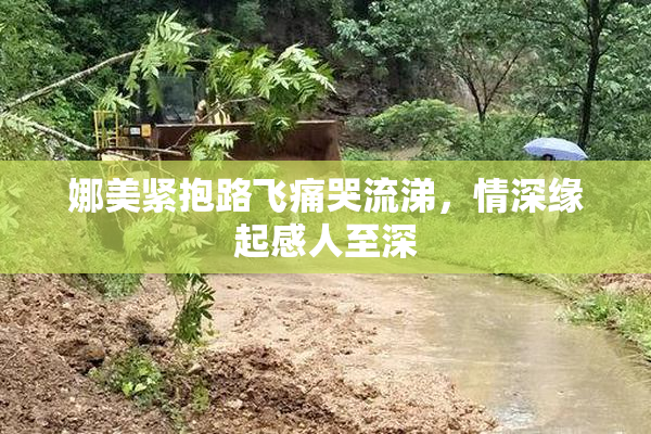 娜美紧抱路飞痛哭流涕，情深缘起感人至深