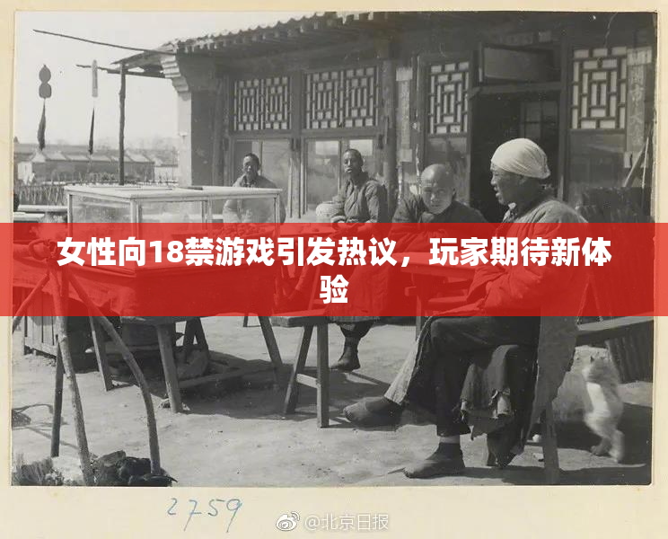 女性向18禁游戏引发热议，玩家期待新体验