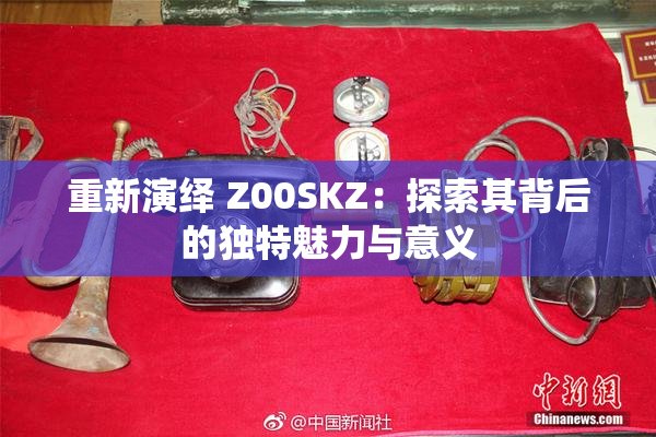 重新演绎 Z00SKZ：探索其背后的独特魅力与意义