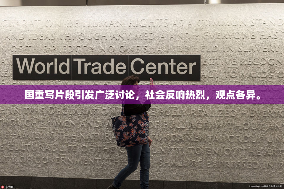 国重写片段引发广泛讨论，社会反响热烈，观点各异。