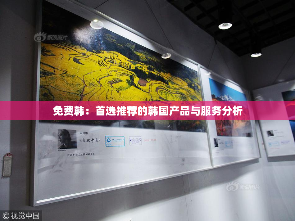 免费韩：首选推荐的韩国产品与服务分析