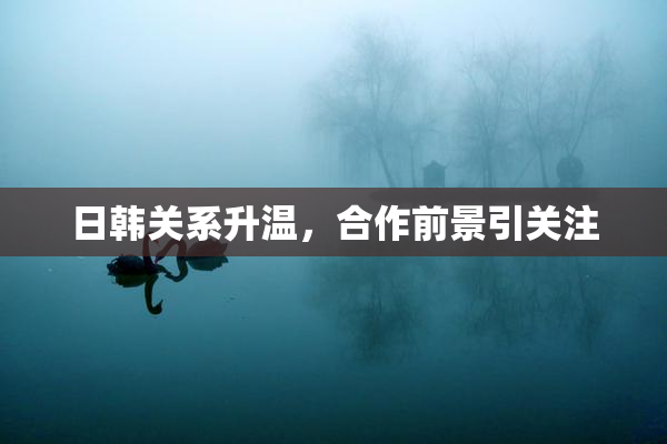 日韩关系升温，合作前景引关注