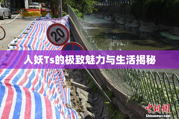 人妖Ts的极致魅力与生活揭秘