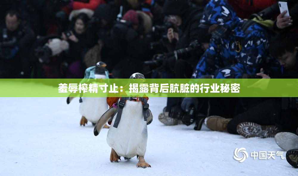 羞辱榨精寸止：揭露背后肮脏的行业秘密