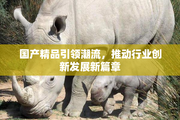 国产精品引领潮流，推动行业创新发展新篇章