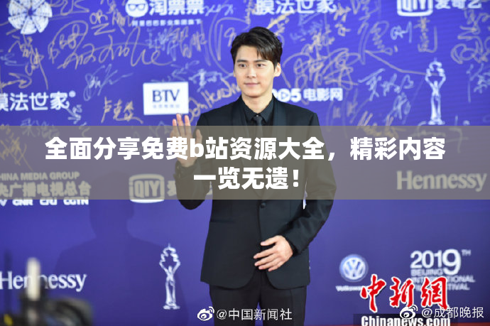 全面分享免费b站资源大全，精彩内容一览无遗！