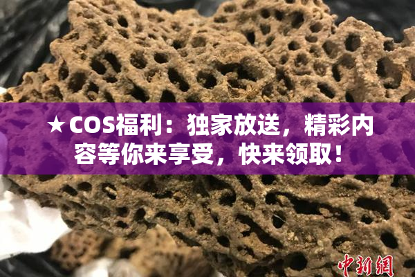 ★COS福利：独家放送，精彩内容等你来享受，快来领取！