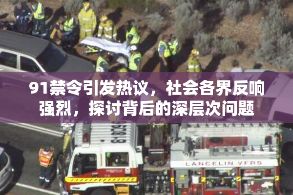 91禁令引发热议，社会各界反响强烈，探讨背后的深层次问题