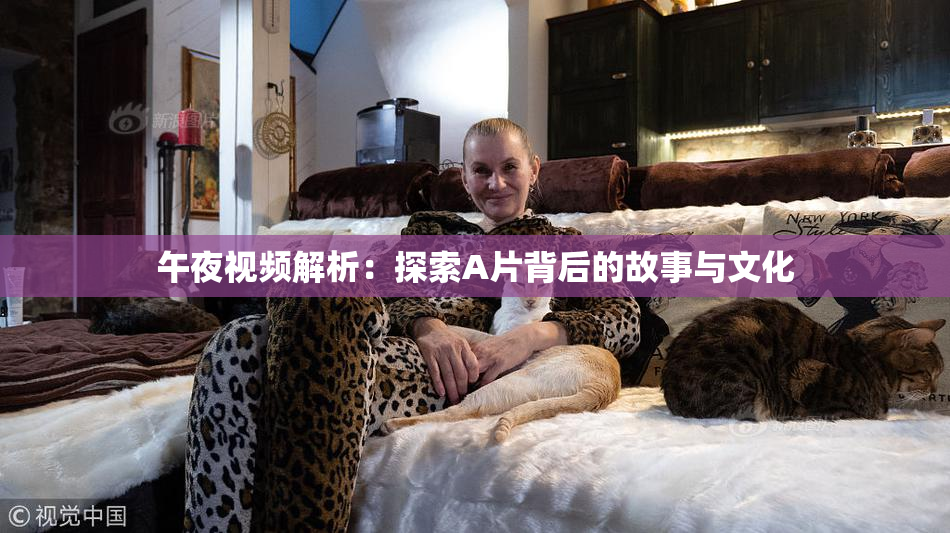 午夜视频解析：探索A片背后的故事与文化