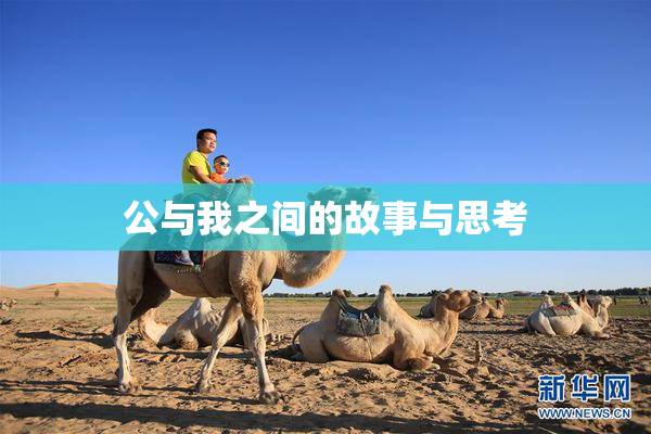 公与我之间的故事与思考
