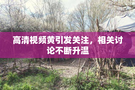 高清视频黄引发关注，相关讨论不断升温