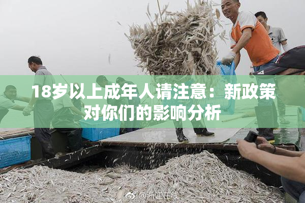 18岁以上成年人请注意：新政策对你们的影响分析