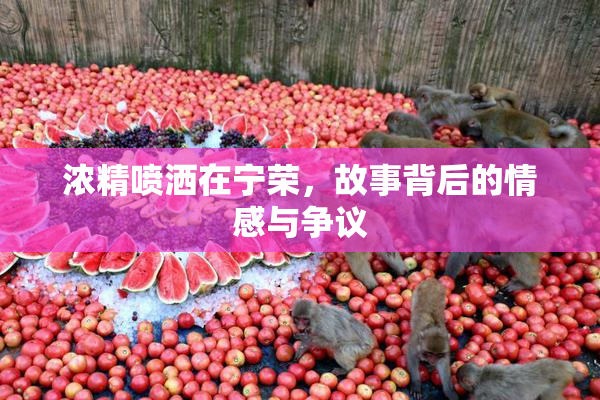 浓精喷洒在宁荣，故事背后的情感与争议