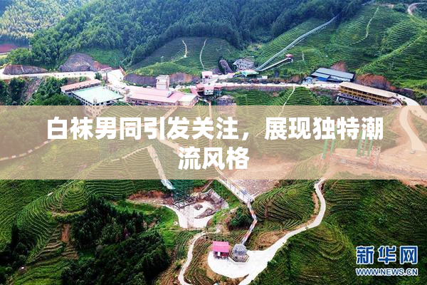 白袜男同引发关注，展现独特潮流风格