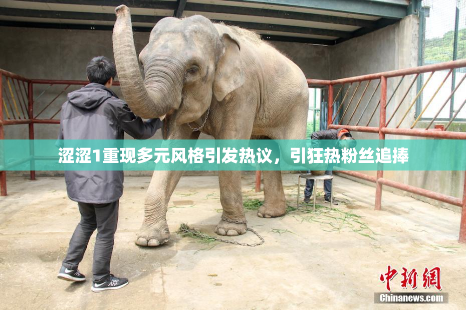 涩涩1重现多元风格引发热议，引狂热粉丝追捧