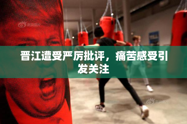 晋江遭受严厉批评，痛苦感受引发关注
