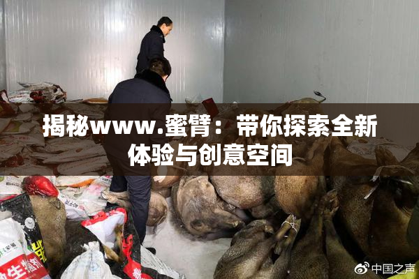 揭秘www.蜜臂：带你探索全新体验与创意空间